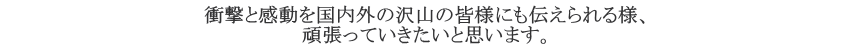 衝撃と感動を国内外の沢山の皆様にも伝えられる様、頑張っていきたいと思います。